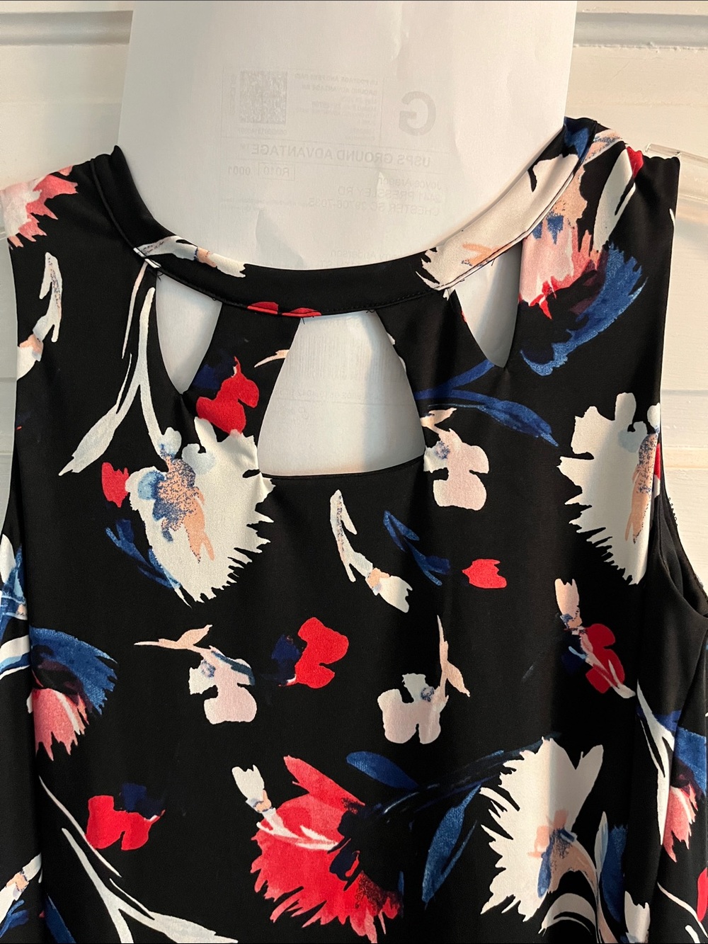 AGB Sleeveless Black Dress with Red, Blue, Pink & Cream Floral Accents